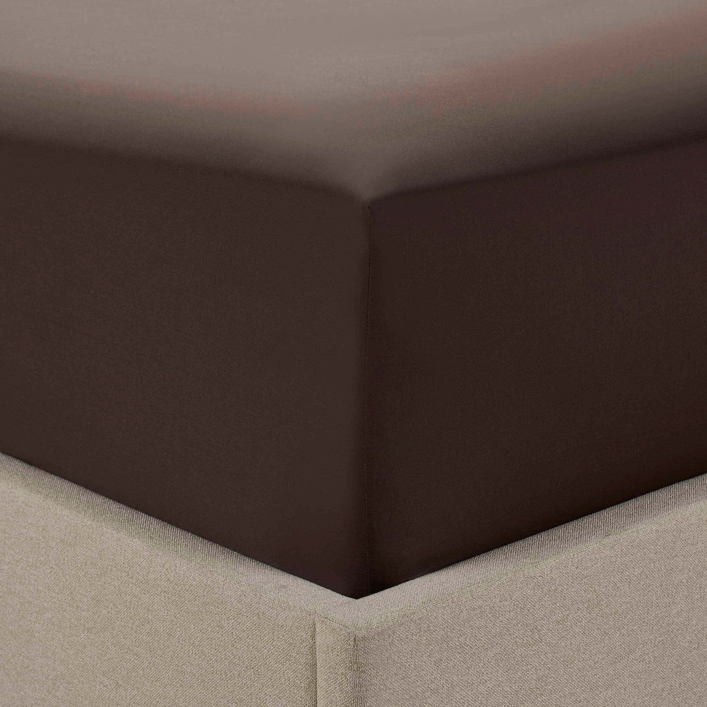Dusklia - 200 Thread Count Plain-Dye Fitted Sheet - Chocolate