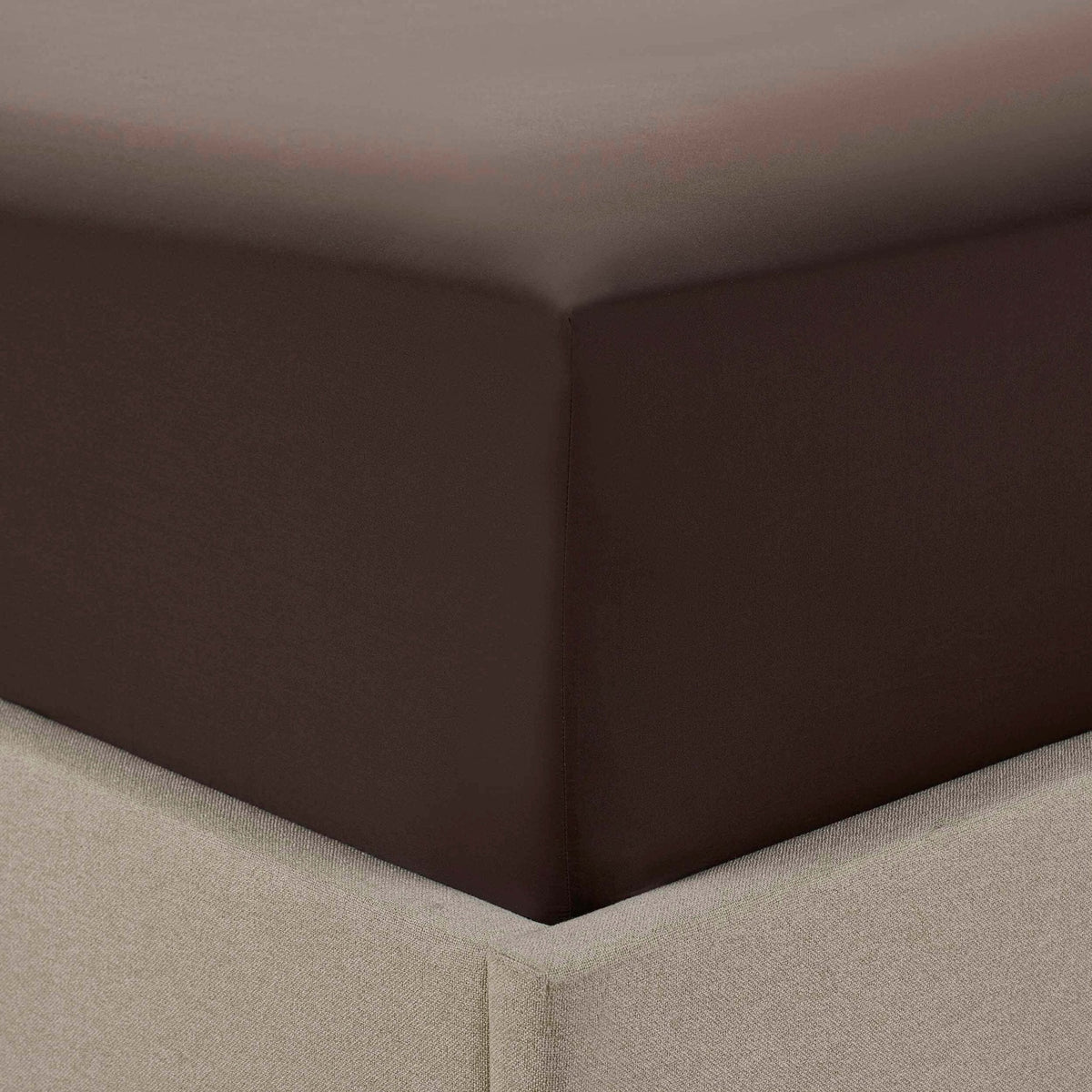 Dusklia - 200 Thread Count Plain-Dye Fitted Sheet - Chocolate