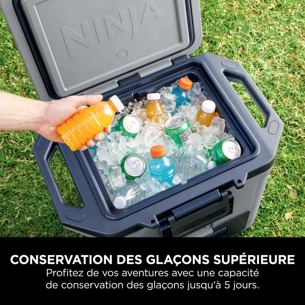 Glacière Ninja FrostVault 28 L, grise FB131EUGY