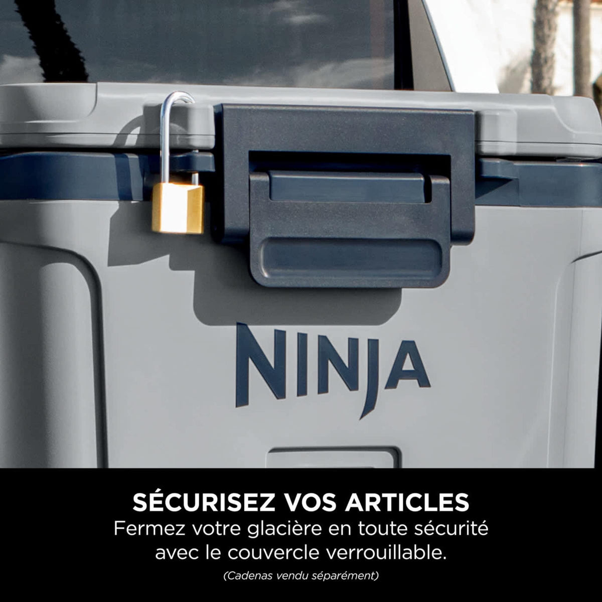 Glacière Ninja FrostVault 28 L, grise FB131EUGY