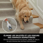 Shark StainStriker - Shampouineuse Nettoyeur Détacheur Tapis, Canapé & Voiture