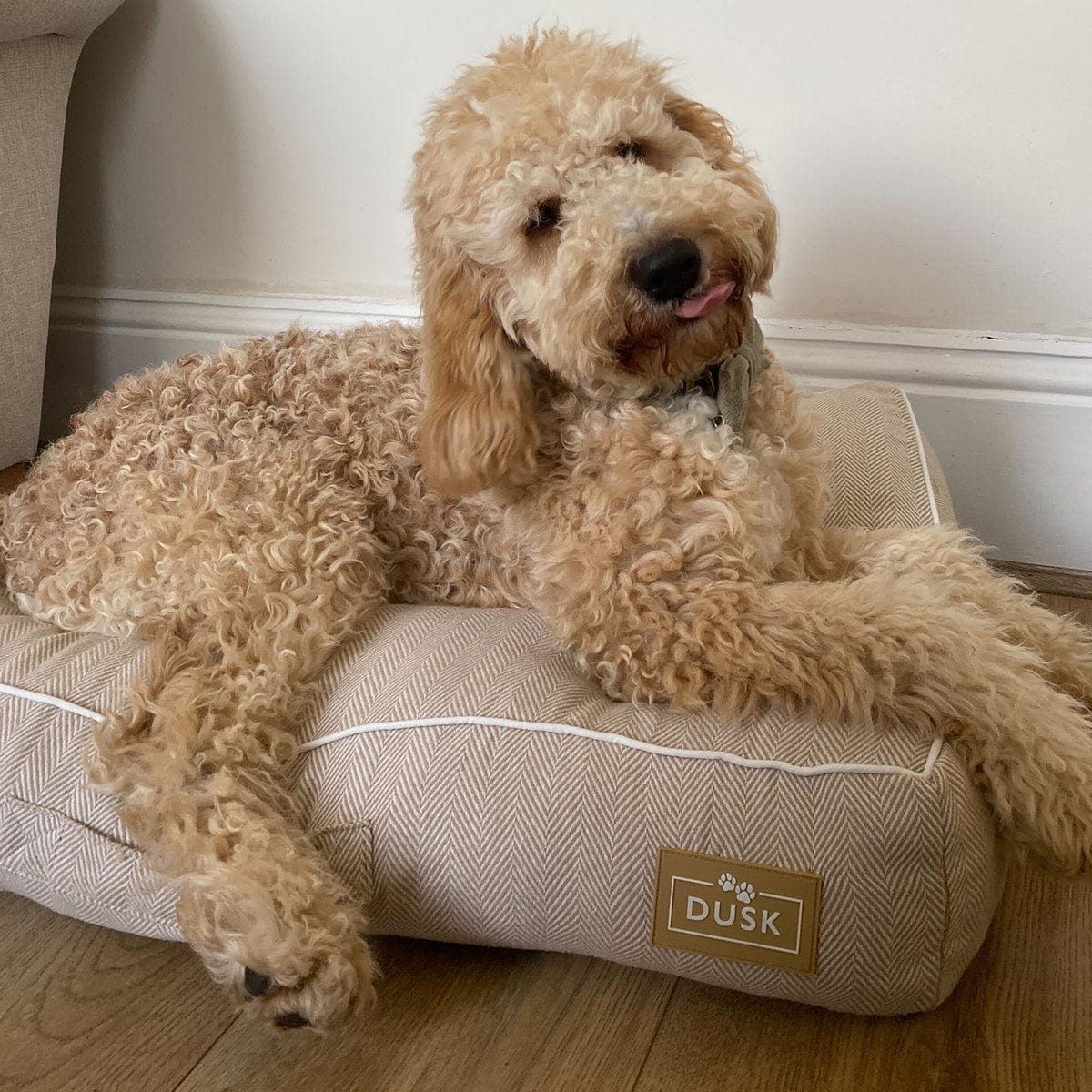 Dusklia - Bailey Pillow Dog Bed - Natural Herringbone
