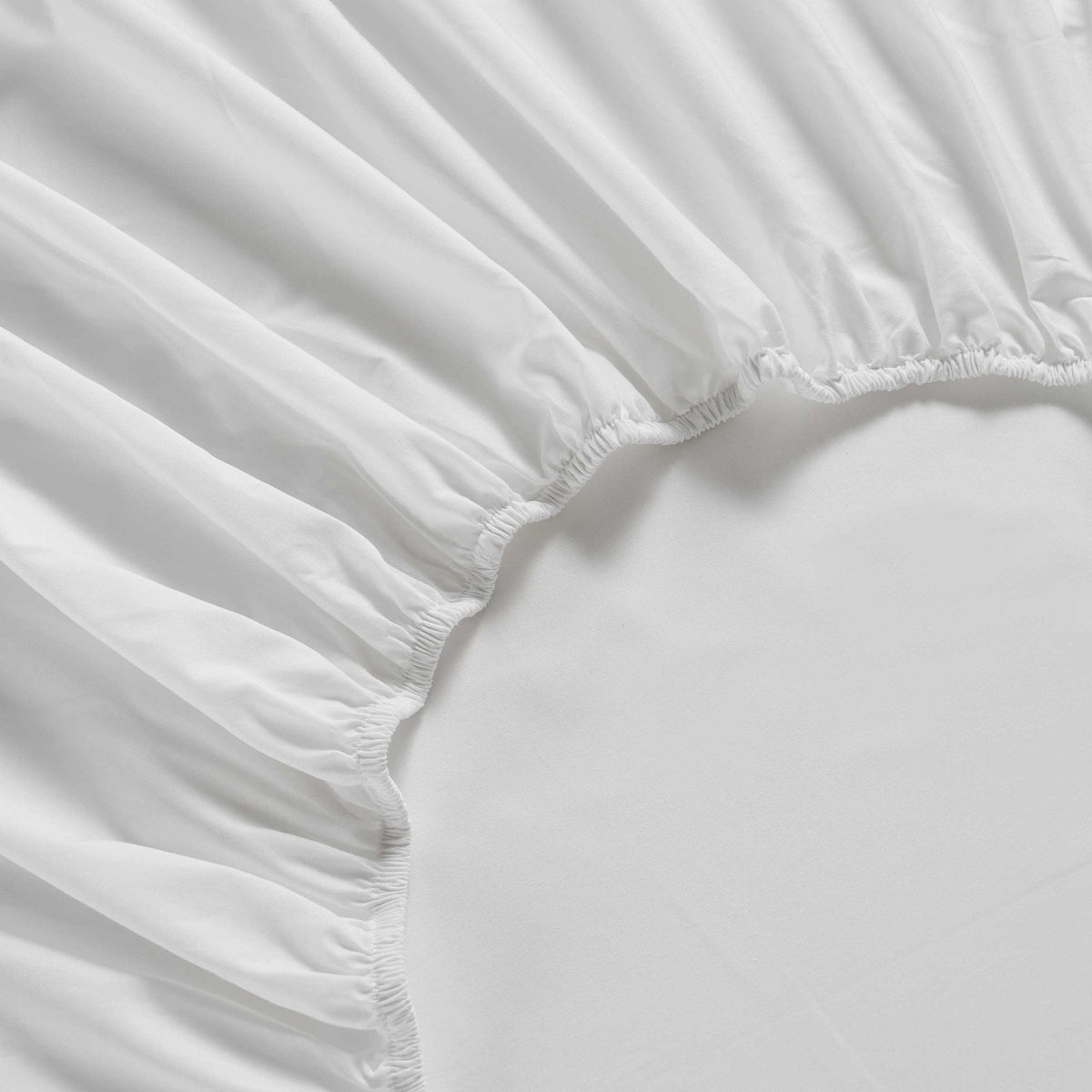 Dusklia - Bloomsbury 1000 Thread Count Fitted Sheet - White