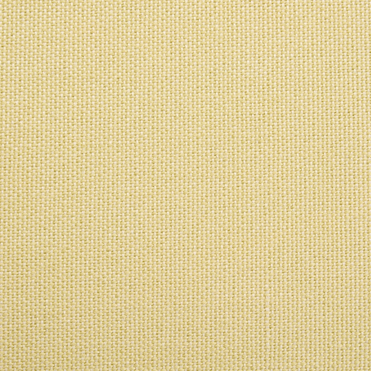 Dusklia - Chicago 2 Seater Sofa - Butter Yellow