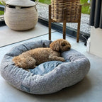 Dusklia - Cooper Round Dog Bed - Steel Grey