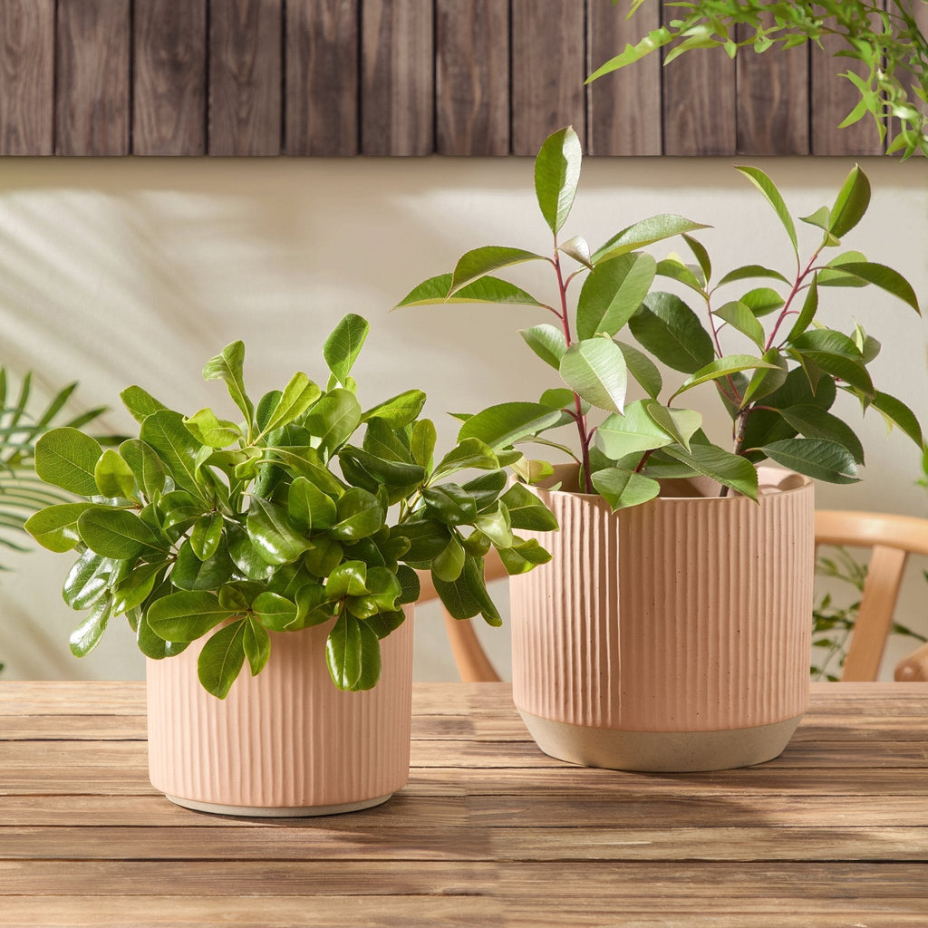 Dusklia - Flora Ribbed Clay Plant Pot - Pink