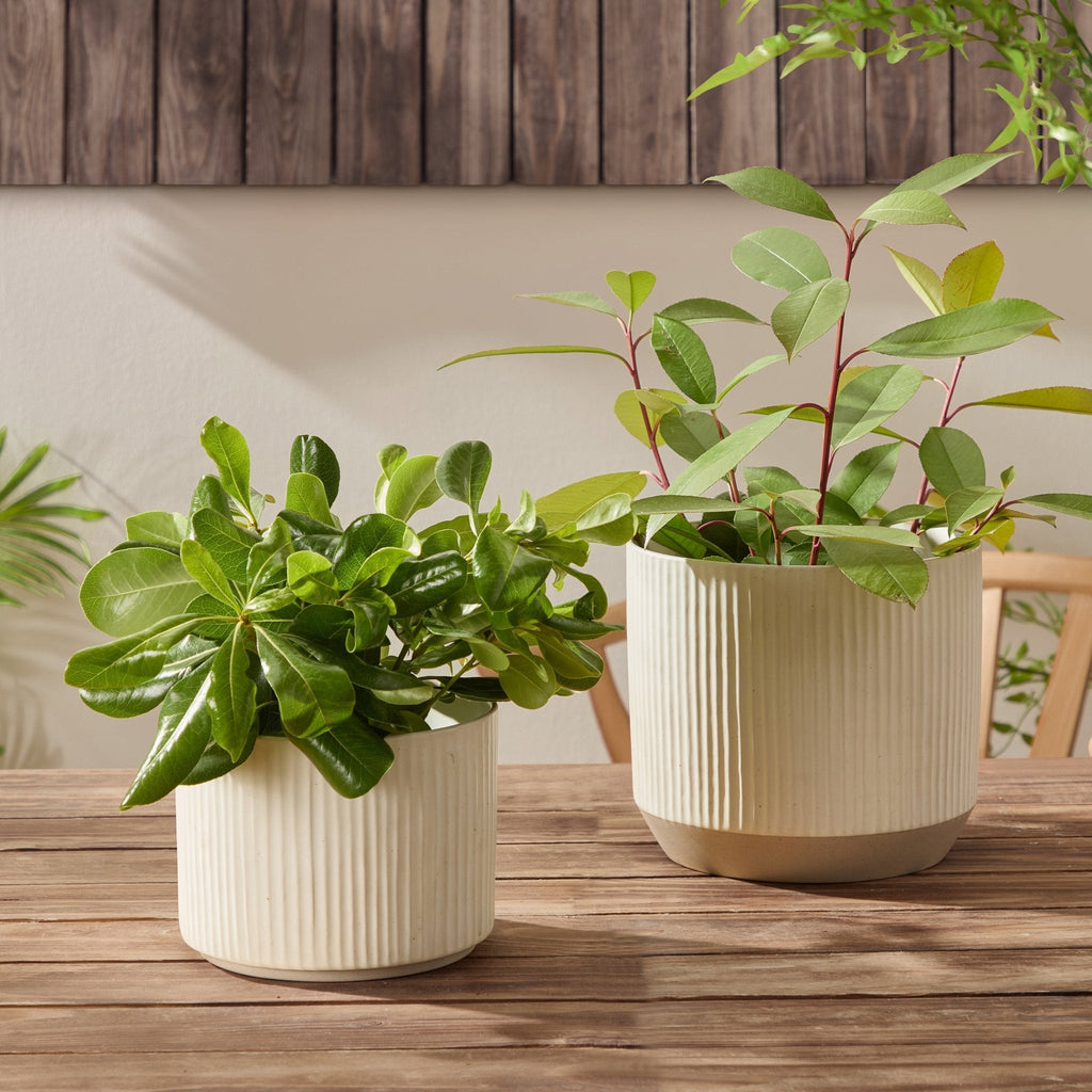Dusklia - Flora Ribbed Clay Plant Pot - White