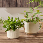 Dusklia - Flora Ribbed Clay Plant Pot - White