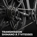 Vélo Électrique Fat Bike REVO Terra Boost – 250 W – Autonomie jusqu’à 126 km – Batterie 48 V 13 Ah – Couple 75 Nm – Pneus 20" x 4"