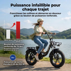 Vélo Électrique Fat Bike REVO Terra Boost – 250 W – Autonomie jusqu’à 126 km – Batterie 48 V 13 Ah – Couple 75 Nm – Pneus 20" x 4"