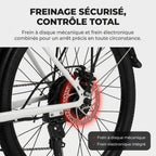 Vélo Électrique REVO CityFlow – 250 W – Autonomie 90 km – Batterie 561,6 Wh – Shimano 7 Vitesses – Roues 26"