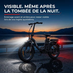 Vélo Électrique Pliable REVO Cargo – 250 W – Autonomie jusqu’à 80 km – Batterie 468 Wh – Pneus Fat 20 × 3.0″