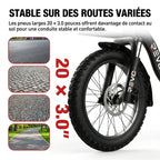 Vélo Électrique Pliable REVO Cargo – 250 W – Autonomie jusqu’à 80 km – Batterie 468 Wh – Pneus Fat 20 × 3.0″