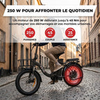 Vélo Électrique Pliable REVO Cargo – 250 W – Autonomie jusqu’à 80 km – Batterie 468 Wh – Pneus Fat 20 × 3.0″
