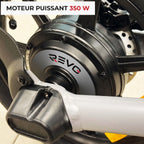 Draisienne Électrique REVO Glide 14 – 350 W – Autonomie jusqu’à 15 km – Roues 14″ – Batterie Amovible 36 V 5,2 Ah