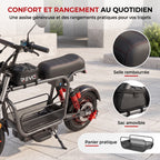 Draisienne Électrique REVO Drivon 1500 – Jusqu’à 1500 W – Autonomie jusqu’à 72 km – Batterie 48 V 15,6 Ah – NFC & Freins Hydrauliques