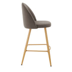 Dusklia - Iris Set of 2 Barstools - Taupe/Natural