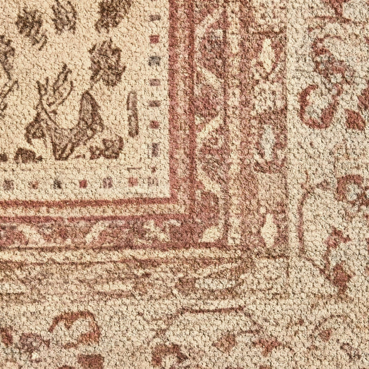 Dusklia - Jen Traditional Border Leopard Print Rug - Multi