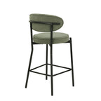 Dusklia - Mia Set of 2 Barstools - Matte Velvet - Sage Green