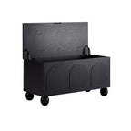 Dusklia - Rachel Arch Front Seated Storage - Black