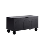Dusklia - Rachel Arch Front Seated Storage - Black