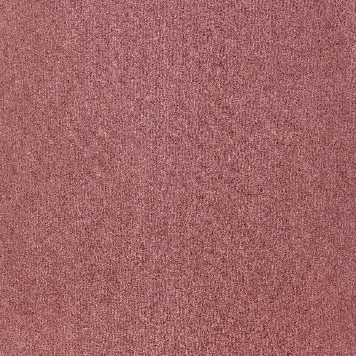 Dusklia - Sophia Set of 2 Dining Chairs - Velvet - Pink