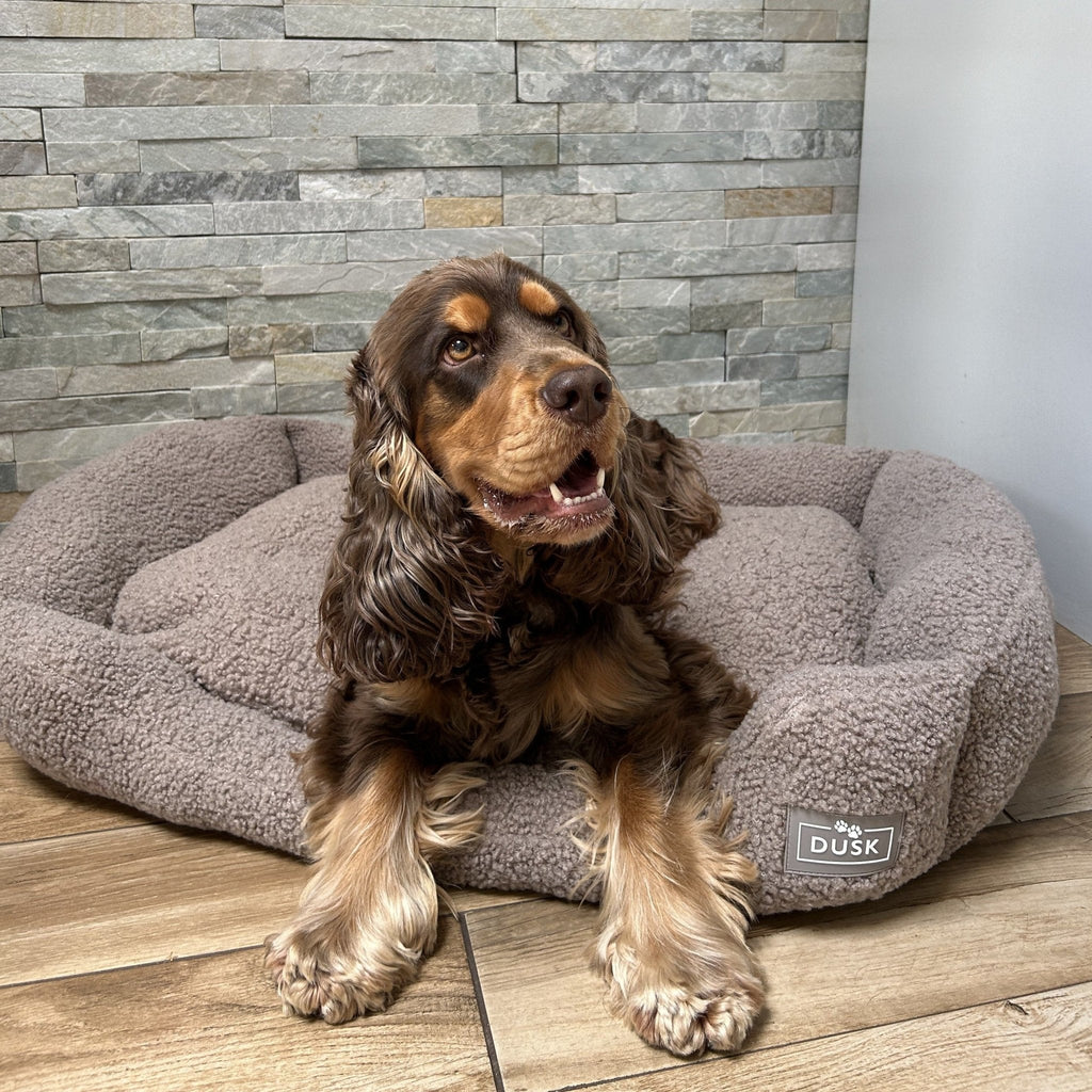 Dusklia - Teddy Basket Dog Bed - Taupe