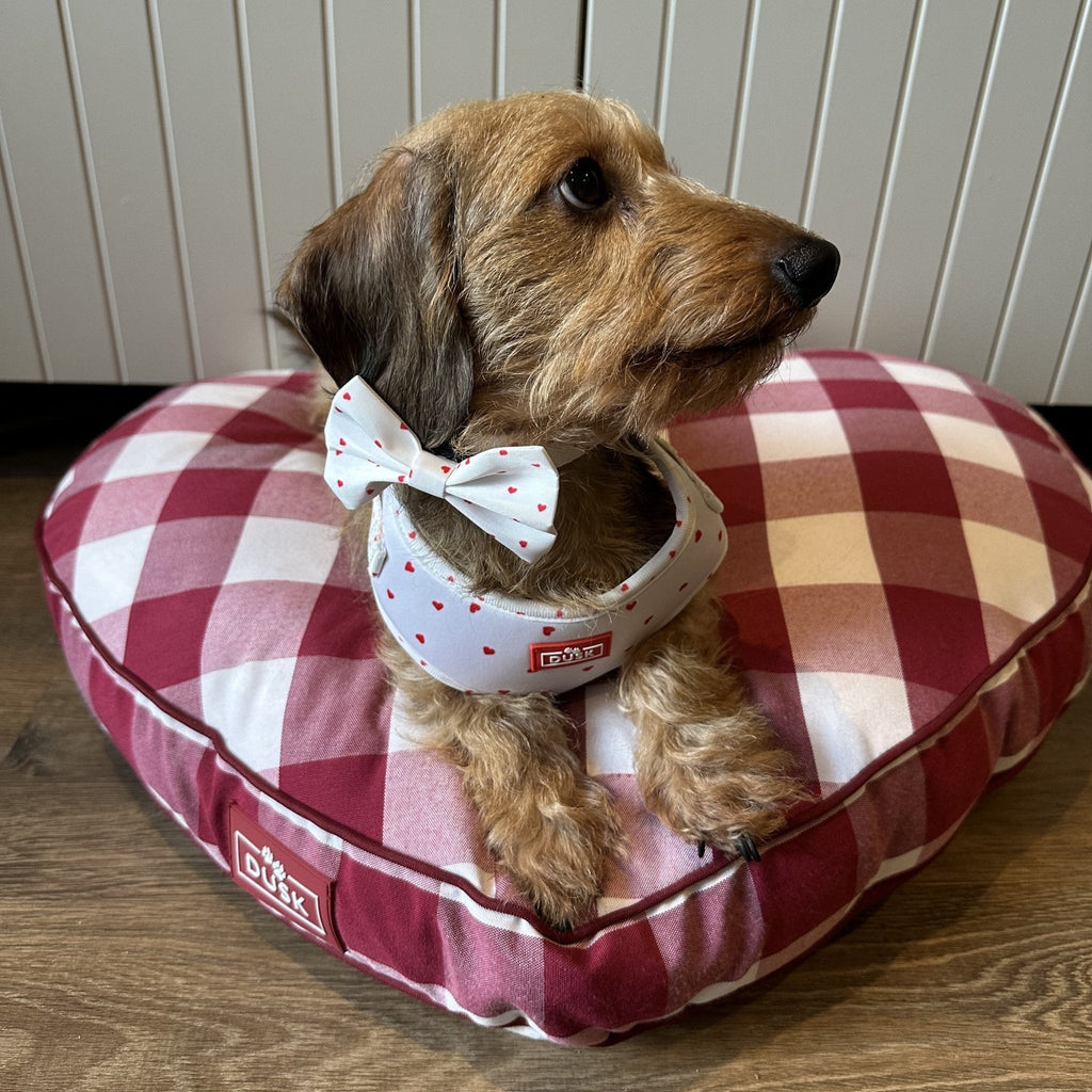 Dusklia - Dog Harness, Lead, Collar Set - Size Small - White/Red