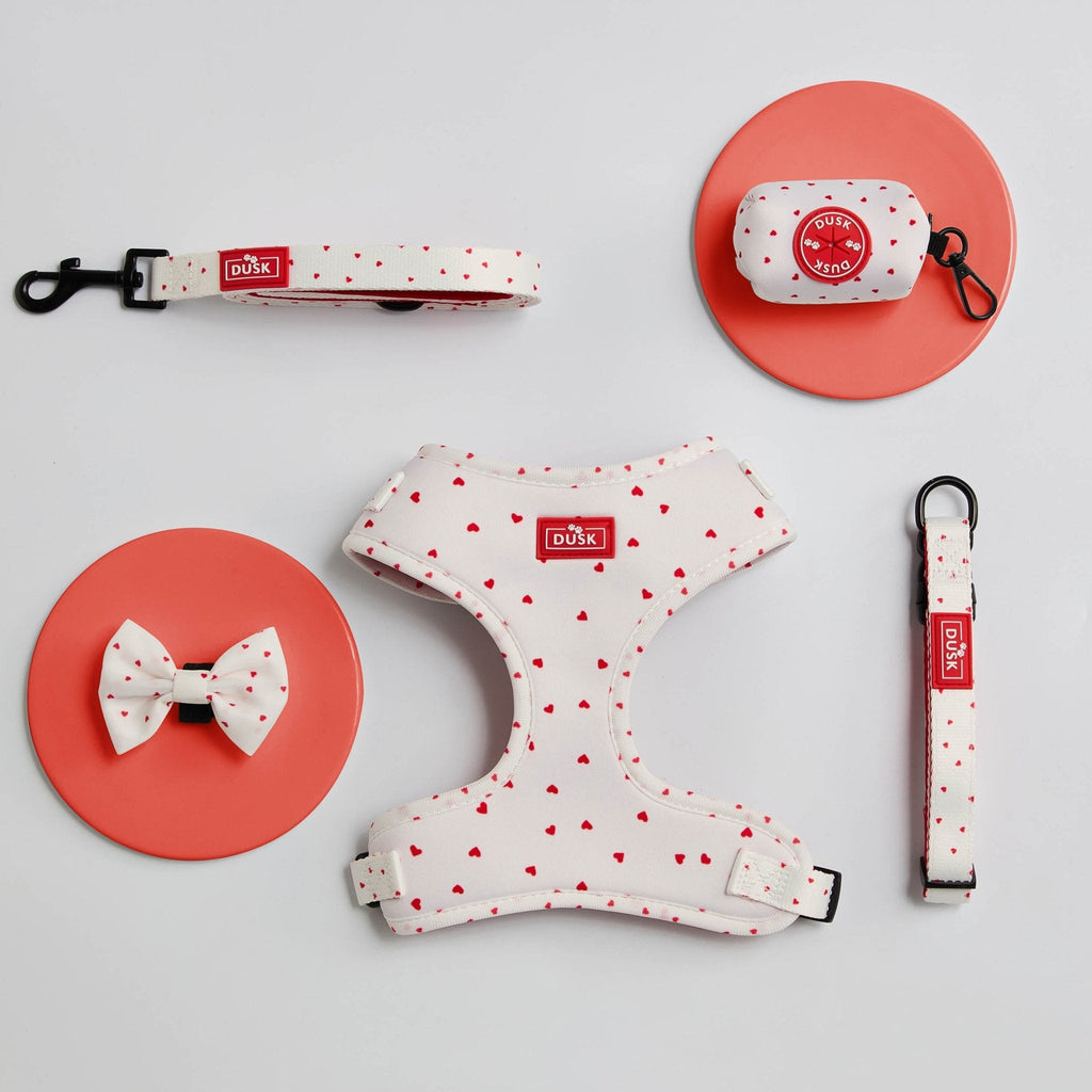 Dusklia - Dog Harness, Lead, Collar Set - Size Small - White/Red