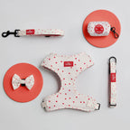 Dusklia - Dog Harness, Lead, Collar Set - Size Small - White/Red